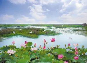 中国最大的湖（中国最大的十个湖泊） 第6张