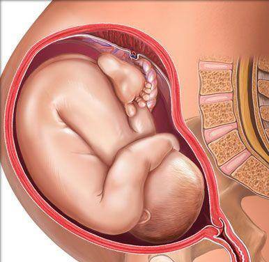 剖腹产后多久可以怀孕(剖腹产1年3个月怀孕) 第1张
