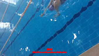 如何快速学会游泳(如何学会游泳的步骤视频) 第7张