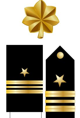 美国的军衔等级及标志是什么（美国警衔等级与职位图详细介绍） 第10张