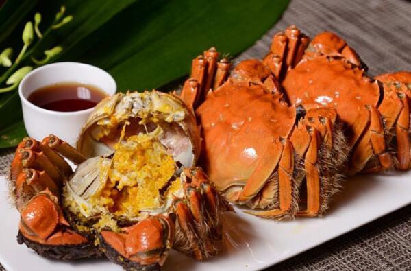 中国哪里的螃蟹最好吃（中国十大名蟹排行榜） 第1张