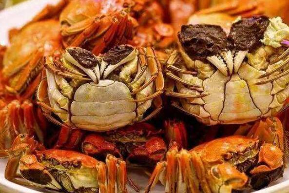中国哪里的螃蟹最好吃（中国十大名蟹排行榜） 第3张