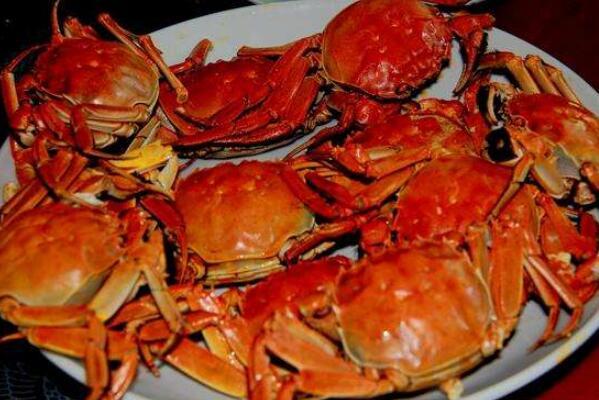 中国哪里的螃蟹最好吃（中国十大名蟹排行榜） 第7张