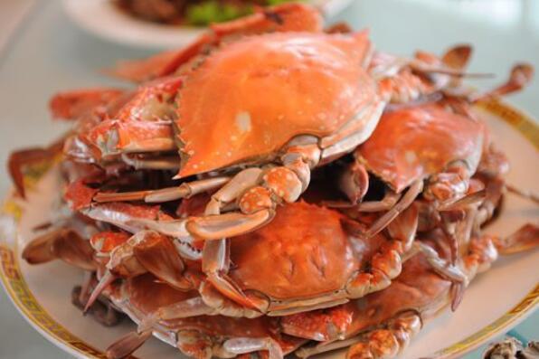 中国哪里的螃蟹最好吃（中国十大名蟹排行榜） 第9张