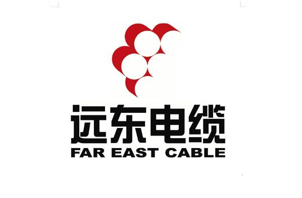 中国电线十大名牌有哪些（家用电线品牌前十大排名） 第1张