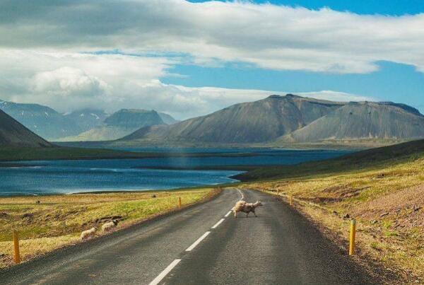 世界最美的公路排名（十大景观公路简介） 第4张