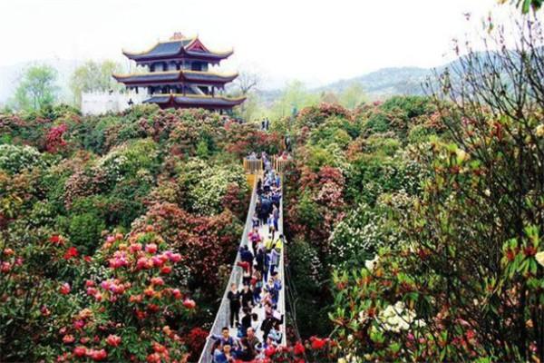 贵州好玩的景点排名榜（贵州旅游十大景点排名地图） 第9张