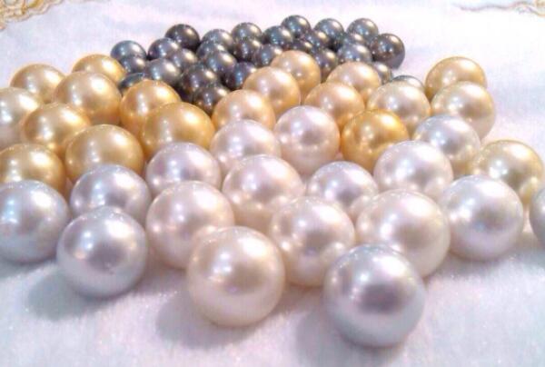 珍珠的品种有哪几种（最顶级的珍珠品种） 第3张