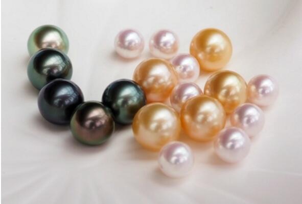 珍珠的品种有哪几种（最顶级的珍珠品种） 第2张