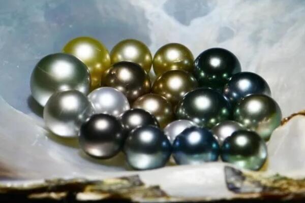 珍珠的品种有哪几种（最顶级的珍珠品种） 第4张
