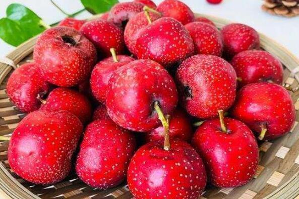 提高免疫力的10大水果（增强人体免疫力的水果介绍） 第4张