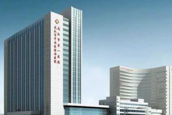 武汉市前十大医院排名（武汉市医院等级一览表） 第7张