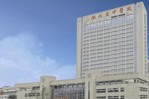武汉市前十大医院排名（武汉市医院等级一览表） 第6张