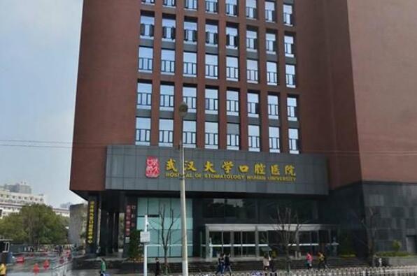 武汉市前十大医院排名（武汉市医院等级一览表） 第8张