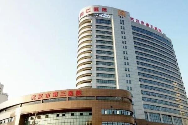 武汉市前十大医院排名（武汉市医院等级一览表） 第9张