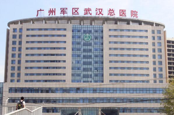 武汉市前十大医院排名（武汉市医院等级一览表） 第10张