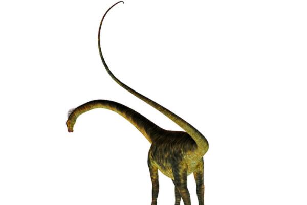 世界上最长的尾巴是什么动物（世界上尾巴最长的怪兽）