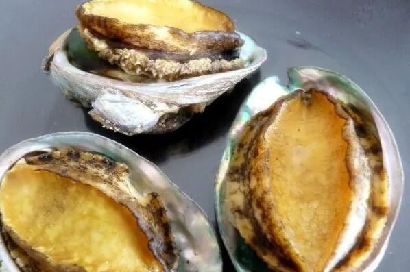 最好吃的贝类排行榜 最好吃的贝壳类海鲜排名 第2张