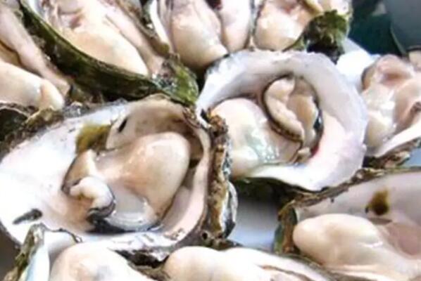 最好吃的贝类排行榜 最好吃的贝壳类海鲜排名 第3张