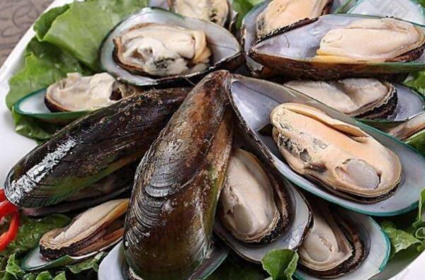 最好吃的贝类排行榜 最好吃的贝壳类海鲜排名 第10张