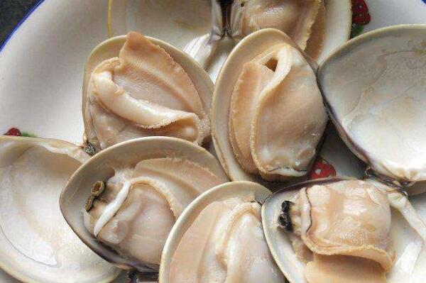 最好吃的贝类排行榜 最好吃的贝壳类海鲜排名 第9张