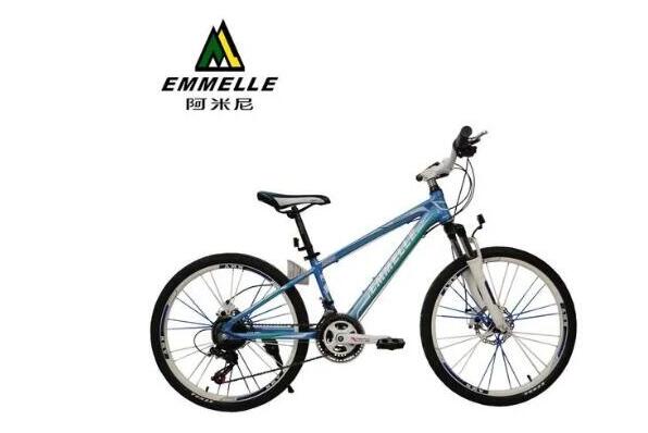 进口自行车品牌排行榜价格 进口高档自行车价格及图片 第5张