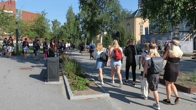 瑞典大学排名,北欧留学优势 第4张