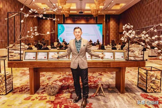 中国最好的酒店,单一品牌酒店集团介绍 第24张