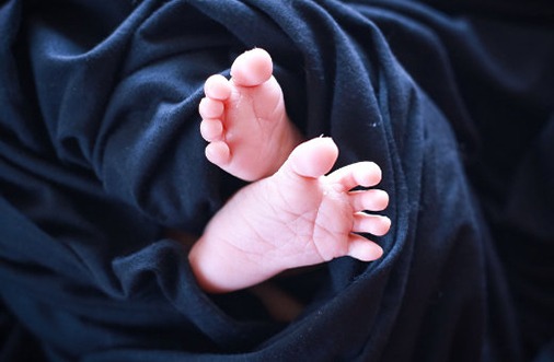2022年正月初二出生宝宝乳名分享,最全系列孩子小名合集 第1张