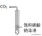 碳酸钠和碳酸氢钠（小苏打 碳酸氢钠） 第6张