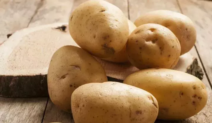 创新土豆（“创新土豆”有毒还致癌？） 第8张