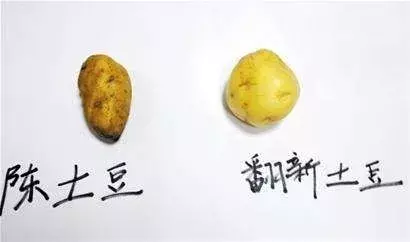 创新土豆（“创新土豆”有毒还致癌？） 第5张