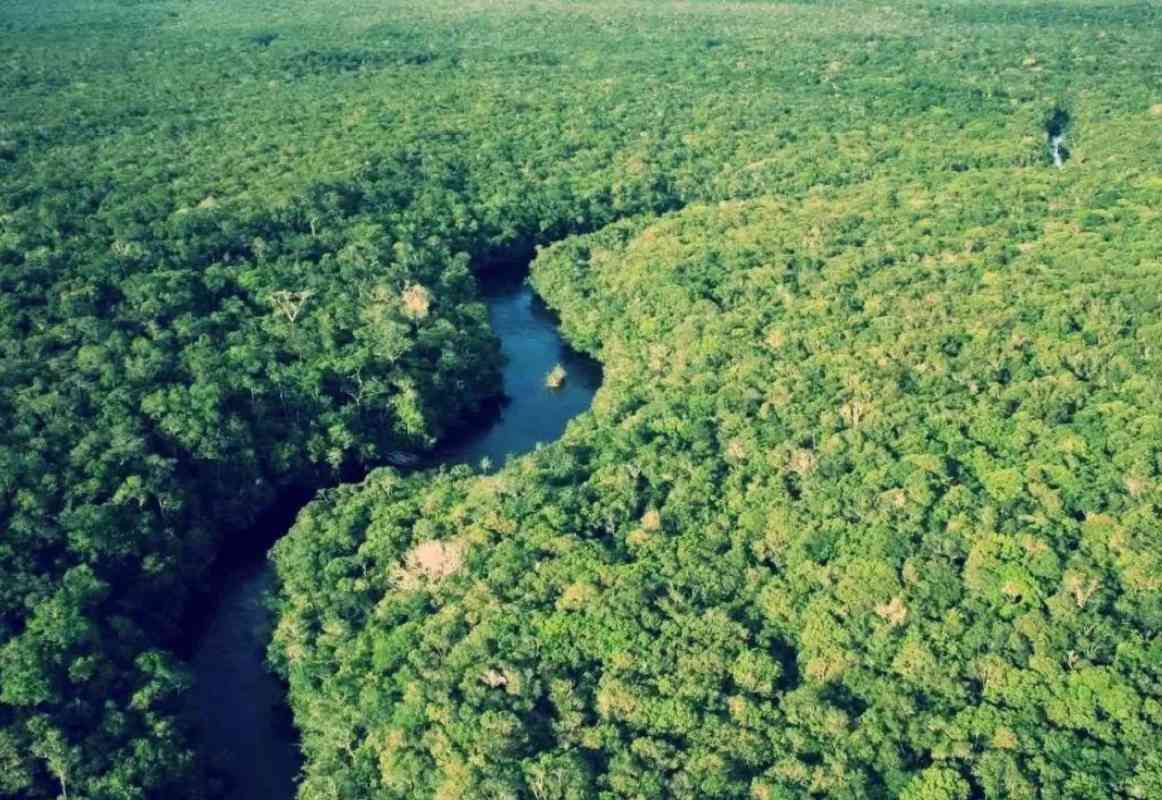 亚马逊雨林（  亚马逊雨林被称为生人禁区） 第3张